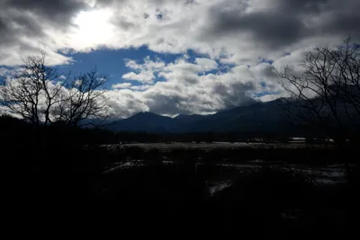 DSC_0790 (Large).JPG